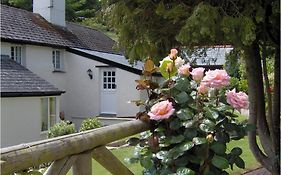 Frogwell